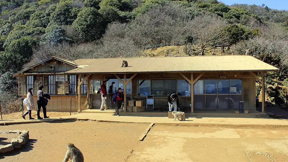 嵐山猴子公園