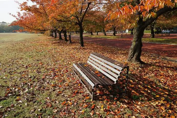 萬博紀念公園